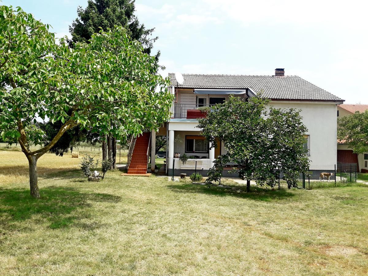 Relax & Enjoy - Marcana Apartments Zewnętrze zdjęcie
